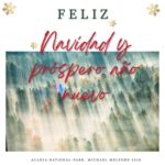 Nuestro wrap up del 2025